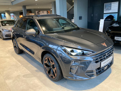 Cupra Terramar Gebrauchtwagen