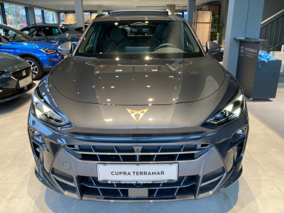 Cupra Terramar Gebrauchtwagen