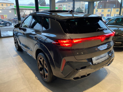 Cupra Terramar Gebrauchtwagen