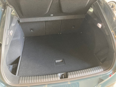 Cupra Terramar Gebrauchtwagen