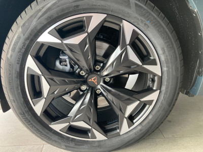 Cupra Terramar Gebrauchtwagen