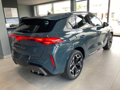 Cupra Terramar Gebrauchtwagen