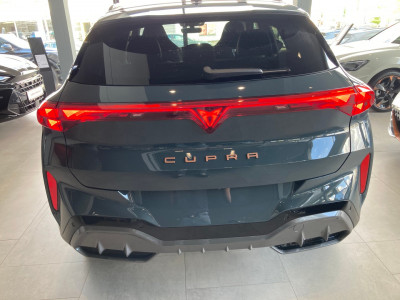 Cupra Terramar Gebrauchtwagen