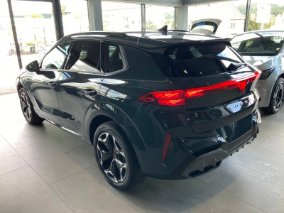 Cupra Terramar Gebrauchtwagen