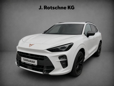 Cupra Terramar Gebrauchtwagen