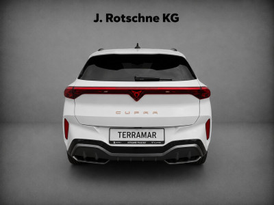 Cupra Terramar Gebrauchtwagen