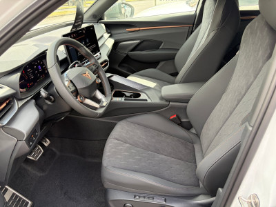Cupra Terramar Gebrauchtwagen