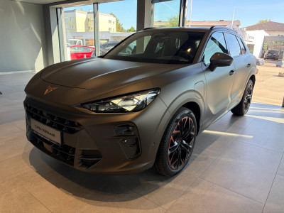 Cupra Terramar Gebrauchtwagen