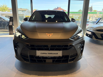Cupra Terramar Gebrauchtwagen