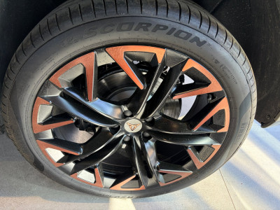 Cupra Terramar Gebrauchtwagen