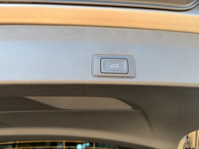 Cupra Terramar Gebrauchtwagen