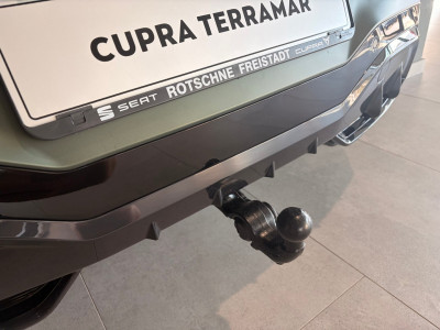 Cupra Terramar Gebrauchtwagen Cupra Terramar Gebrauchtwagen