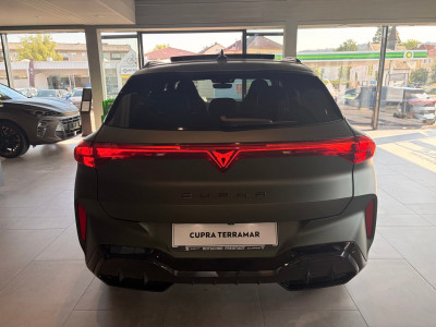 Cupra Terramar Gebrauchtwagen Cupra Terramar Gebrauchtwagen
