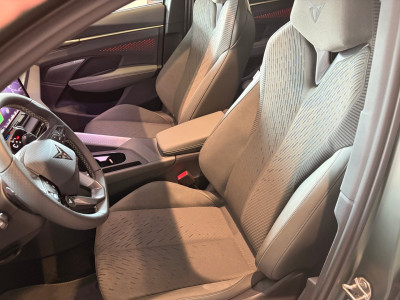 Cupra Terramar Gebrauchtwagen Cupra Terramar Gebrauchtwagen