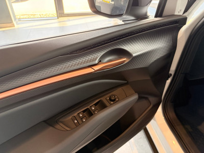 Cupra Raval Gebrauchtwagen Cupra Raval Gebrauchtwagen