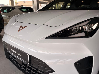 Cupra Raval Gebrauchtwagen Cupra Raval Gebrauchtwagen