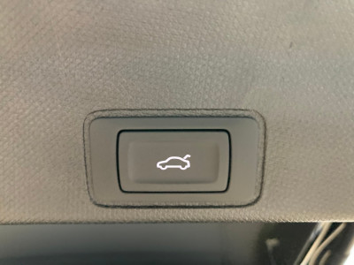 Cupra Terramar Gebrauchtwagen Cupra Terramar Gebrauchtwagen