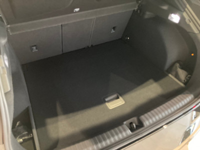 Cupra Terramar Gebrauchtwagen Cupra Terramar Gebrauchtwagen