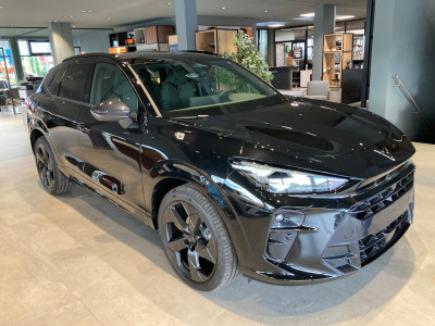 Cupra Terramar Gebrauchtwagen Cupra Terramar Gebrauchtwagen