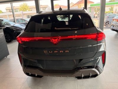 Cupra Terramar Gebrauchtwagen Cupra Terramar Gebrauchtwagen