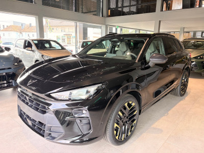 Cupra Terramar Gebrauchtwagen
