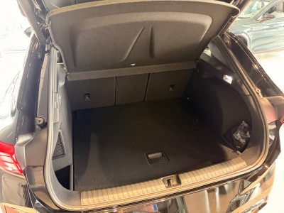Cupra Terramar Gebrauchtwagen