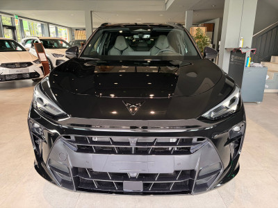 Cupra Terramar Gebrauchtwagen