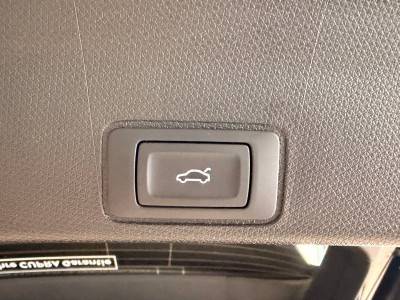 Cupra Terramar Gebrauchtwagen