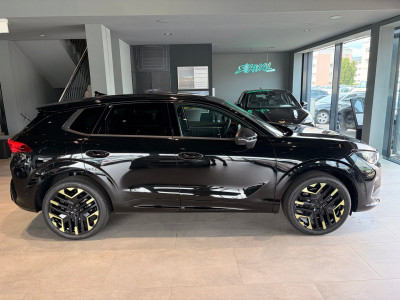 Cupra Terramar Gebrauchtwagen