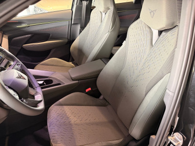 Cupra Terramar Gebrauchtwagen