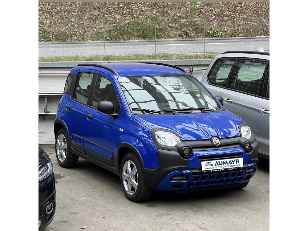 Fiat Panda Gebrauchtwagen