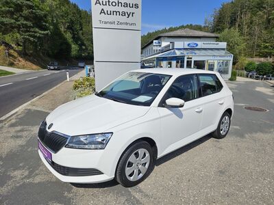 Skoda Fabia Gebrauchtwagen