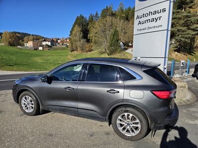 Ford Kuga Gebrauchtwagen