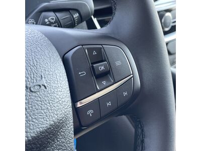 Ford Transit Neuwagen