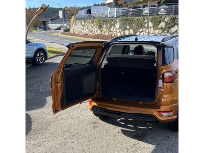 Ford EcoSport Gebrauchtwagen Ford EcoSport Gebrauchtwagen