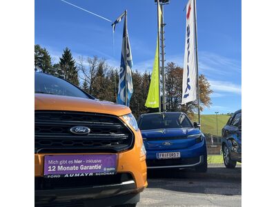 Ford EcoSport Gebrauchtwagen Ford EcoSport Gebrauchtwagen