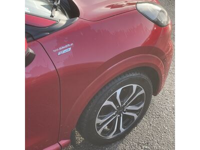 Ford Puma Gebrauchtwagen