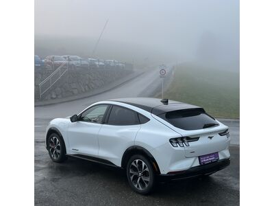 Ford Mustang Mach-E Gebrauchtwagen