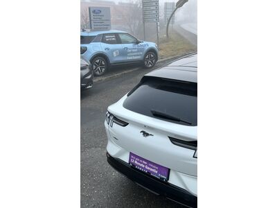 Ford Mustang Mach-E Gebrauchtwagen