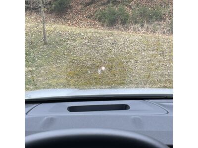 Ford Explorer Neuwagen