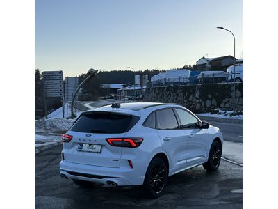 Ford Kuga Neuwagen