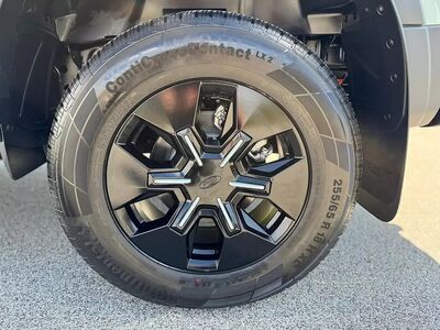 Ford Ranger Tageszulassung