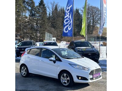 Ford Fiesta Gebrauchtwagen