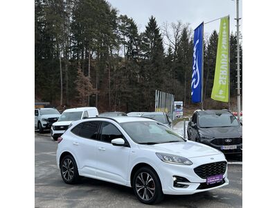 Ford Kuga Gebrauchtwagen