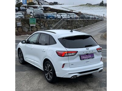 Ford Kuga Gebrauchtwagen