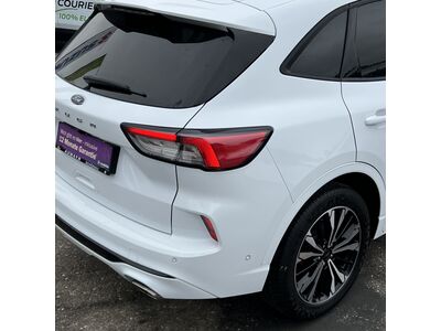 Ford Kuga Gebrauchtwagen