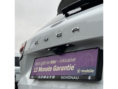 Ford Kuga Gebrauchtwagen