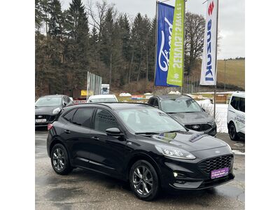 Ford Kuga Gebrauchtwagen Ford Kuga Gebrauchtwagen