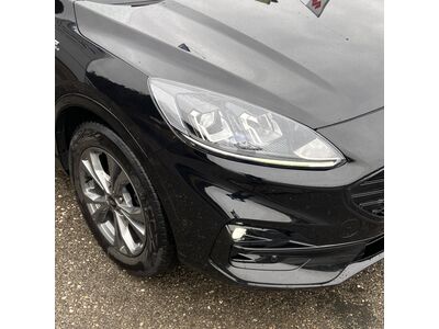 Ford Kuga Gebrauchtwagen Ford Kuga Gebrauchtwagen