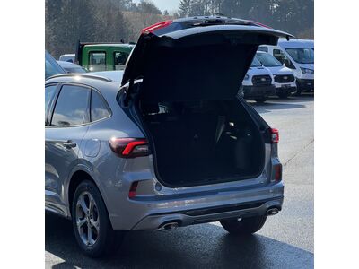 Ford Kuga Neuwagen
